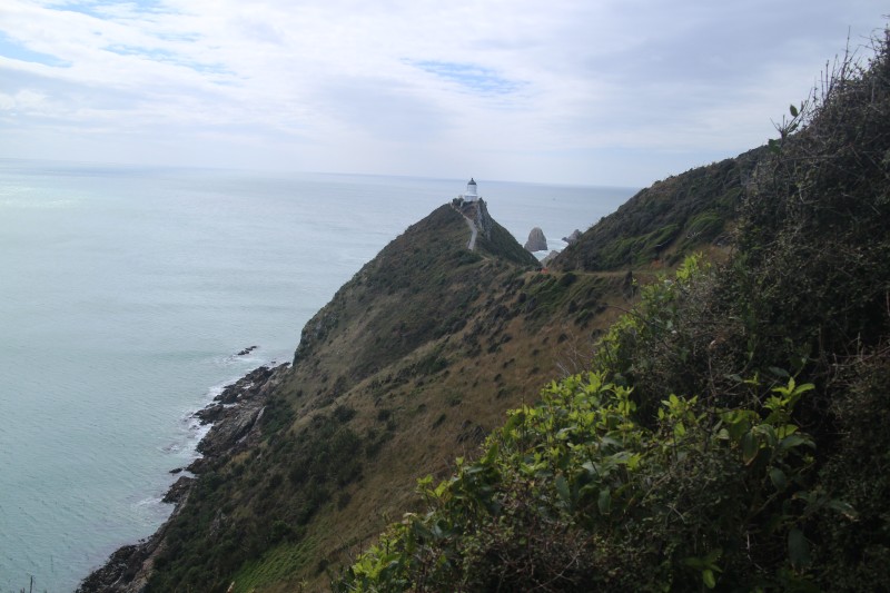 20190108 Nugget Point